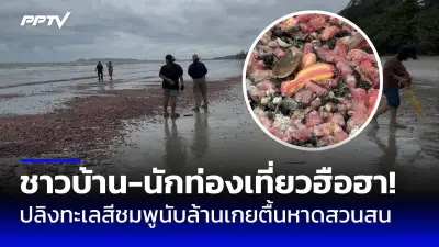 สลด! หนุ่มลักพาตัวสาวไปข่มขืนคาร้านน้ำชา กลางเมืองหาดใหญ่