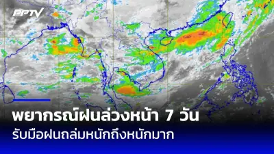 เปิดใจหนุ่มใหญ่ซิ่งกระบะแหกด่าน ตร.อ้างกลัวถูกยิง