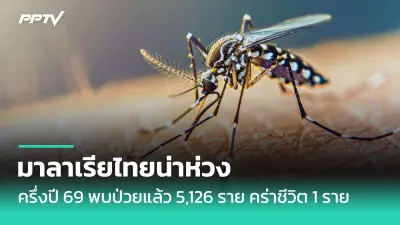 ไขข้อสงสัย: น้ำตาลในเลือดเท่าไหร่ถึงปกติ? รู้ไว้ป้องกันโรคเบาหวาน