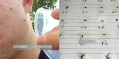 จีนเตรียมปล่อยดาวเทียมสำรวจทรัพยากรธรรมชาติรุ่นใหม่ภายในปีนี้
