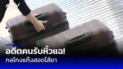 กกต.แจกใบเหลืองใบแดงเลือกตั้ง สว. 66 จังหวัด