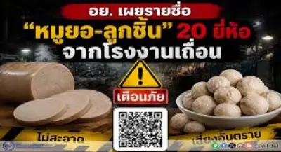 นกนางนวลแกลบฝูงใหญ่บินว่อนหาดจอมเทียนพัทยา ปรากฏการณ์ธรรมชาติสุดอลังการ