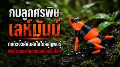 จับมือรวบ 2 สามีภรรยาชาวเมียนมาดัดแปลงรถเข็นขายข้าวเกรียบปากหม้อ