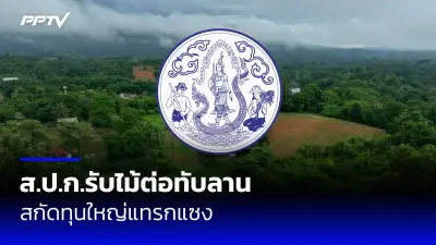 ผับดังย่านทองหล่อถูกตรวจยึด หลังเปิดเกินเวลาจนถึงเช้า