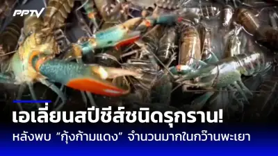 พบศพชายต้องสงสัยคดีลอบสังหารผู้นำฮามาสในโรงแรมไทย