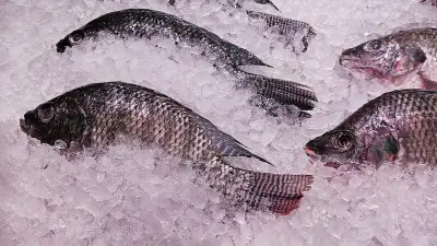เงินเฟ้อไทยต่ำสุดในรอบ 3 ปี ส่งสัญญาณเศรษฐกิจชะลอตัว