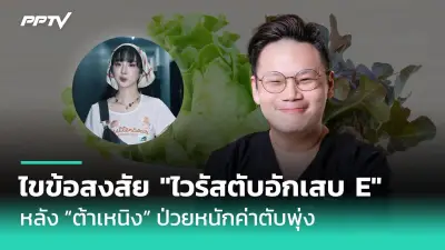 พบผู้ติดเชื้อฝีดาษลิงสายพันธุ์ใหม่ Clade 1b รายแรกในไทย
