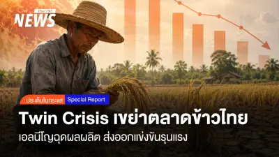 วิกฤตซ้อนวิกฤต! ส่งออกข้าวไทยทรุด เอลนีโญ-สงครามตะวันออกกลางถล่ม Twin Crisis เขย่าตลาดข้าวไทย
