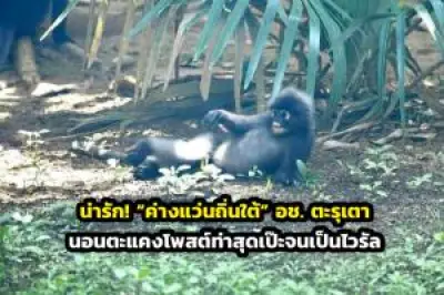 เที่ยววัดพระเชตุพนฯ ชมพระนอนองค์ใหญ่ เรียนรู้มรดกโลก