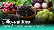 กัญชาทางการแพทย์: ไฟเขียวใช้เพื่อรักษาโรค 17 ชนิด