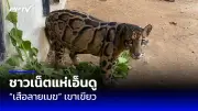 สัญญาณอันตราย! โรคซึมเศร้าพุ่ง หลังโควิด-19 ระบาดหนัก