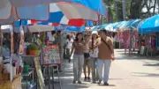 สลด! หนุ่มกระบะเสียหลักพุ่งชนต้นไม้ ดับคาที่ 2 ศพ ดับ 1 เจ็บสาหัส