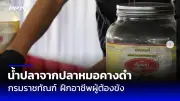 สวนสัตว์เชียงใหม่เตรียมฉลองวันเกิดแพนด้า ‘หลินฮุ่ย’ ครบ 22 ปี