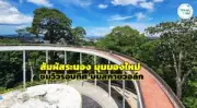 เปิดประสบการณ์เที่ยวอุทยานแห่งชาติเขาใหญ่ 2567 ธรรมชาติสวยไม่รู้ลืม