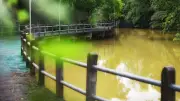 4 ทริปสั้นวันหยุดเที่ยวฮีลใจใกล้กรุงเทพ งบน้อยก็ฟินได้
