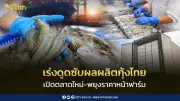 รัฐบาลเร่งดูดซับกุ้ง 400 ตันต่อเดือน หลังมาเลเซียระงับนำเข้า