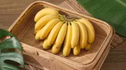 กินกล้วยหอมตอนไหนดี? เผย 5 ช่วงเวลาที่ได้ประโยชน์สูงสุดต่อสุขภาพ