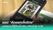 เปิด 5 วิธีป้องกันไข้เลือดออกช่วงหน้าฝน 2568