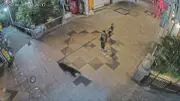 ญี่ปุ่นปิดโรงเรียน 94 แห่ง หลังหมีป่าโผล่กลางเมืองอุตสึโนมิยะครั้งแรก