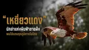 แฮกเกอร์ขโมยข้อมูลจากมือถือผ่านสายชาร์จปลอม เตือนภัยผู้ใช้