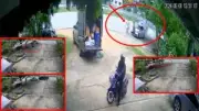 คำรามท้าชน ช้างป่าบุกบ้านเรือน ชาวบ้านผวาหนัก