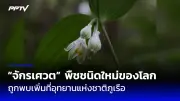 อบจ.ปทุมฯ จับมือ สสส. ขยายพื้นที่เล่นสร้างสุข สู่ชุมชน