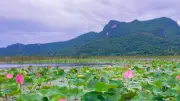 ปักหมุดไฮไลต์ใหม่ ล่องเรือถ่อพื้นบ้าน สัมผัสธรรมชาติกลางบึงบัวทุ่งสามร้อยยอด