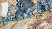 แมงกะพรุนไฟหมวกโปรตุเกสเกลื่อนหาดแหลมโตนด เตือนห้ามสัมผัส