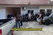 พม่าลอบตัดไม้พะยูงในเขตรักษาพันธุ์สัตว์ป่าห้วยขาแข้ง ถูกเจ้าหน้าที่จับกุม