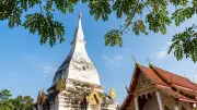 เจาะลึกต้นผึ้งพระธาตุศรีสองรัก สายมูต้องรู้เคล็ดลับแก้บนขอพร