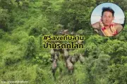 เชียงใหม่เปิดตัวสายการบินใหม่บินตรงสู่เมืองจีนดึงนักท่องเที่ยว
