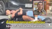 ชาวเน็ตแห่แชร์คลิปวัวบุกบ้านกินผักในสวน