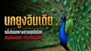 เปิด 5 ข้อเสนอ กกต. แก้รัฐธรรมนูญ หวั่นประชามติซ้ำรอย