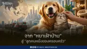 จากหมาเฝ้าบ้านสู่ลูกครอบครัว Pet Economy ไทยขึ้นแท่นครัวสัตว์เลี้ยงโลก