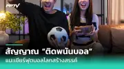 กัญชงกัญชาผิดกฎหมาย? อธิบายข้อเท็จจริงและโทษปรับ