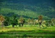 เปิดประเด็นร้อน! คดีแตงโม นิดา พยานปากเอกให้การขัดแย้ง