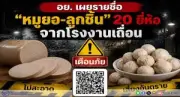 นกนางนวลแกลบฝูงใหญ่บินว่อนหาดจอมเทียนพัทยา ปรากฏการณ์ธรรมชาติสุดอลังการ
