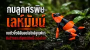 จับมือรวบ 2 สามีภรรยาชาวเมียนมาดัดแปลงรถเข็นขายข้าวเกรียบปากหม้อ