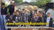 เปิดตัวรถเมล์ไฟฟ้า NGV พลังงานสะอาด ปลอดภัย รองรับผู้โดยสาร