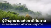 อ.เจษฎา ยัน จระเข้ 7 เมตร ไม่มีจริงในไทย ระบุเป็นข่าวปลอม