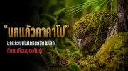 ซาอุฯ จ่อตั้งกองทุน 1 แสนล้านดอลลาร์ลงทุน AI