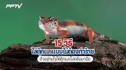 พายุฤดูร้อนถล่มอีสานเหนือ 6 จังหวัด เสียหายกว่า 1,000 หลัง