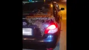 ฝูงผึ้งหลวงบินตามรถเก๋งทะเบียนสวย เจ้าของไม่เชื่อโชคลาภ