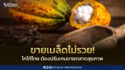ทางรอดโกโก้ไทยต้องแปรรูปสร้างมูลค่าสินค้าพรีเมียม
