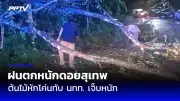 สหรัฐฯ ไฟเขียวใช้กัญชาทางการแพทย์ เพิ่มโอกาสรักษาโรคซึมเศร้า