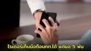 หมอเตือน! อย่าใช้ 'พาราเซตามอล' ยาแก้ปวด ลดไข้ กับ 'แมว' เสี่ยงตาย