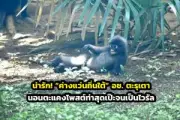 เที่ยววัดพระเชตุพนฯ ชมพระนอนองค์ใหญ่ เรียนรู้มรดกโลก