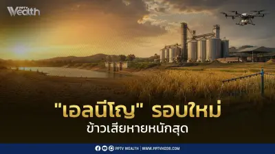 เอลนีโญรอบใหม่กระทบหนัก ภาคเกษตรเสียหาย 6.2 หมื่นล้าน ข้าวหาย 5.4 ล้านตัน