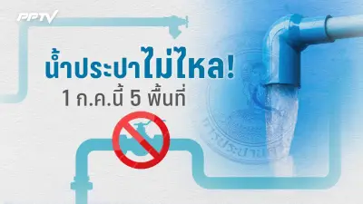 ป่าไม้ยึดรถแบ็คโฮ-เร่งสอบนายทุนรุกป่าสงวนแห่งชาติปางสา