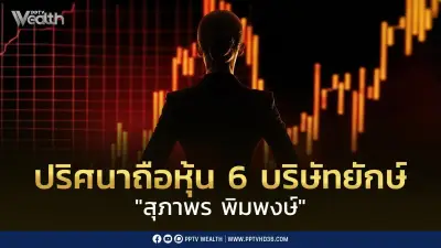 ปริศนาสุภาพร พิมพงษ์ ถือหุ้น 6 บริษัทยักษ์ไร้ตัวตน สั่นคลอนเชื่อมั่น ก.ล.ต.